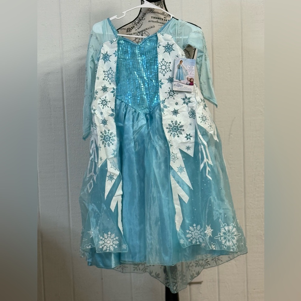 Disney Ice Princess Costume - Light Blue and White